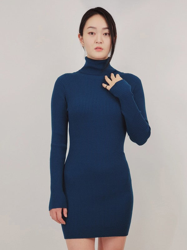 Ribbed Turtleneck Long Sleeve Slim Fit Mini Dress-Charmful Clothing Boutique