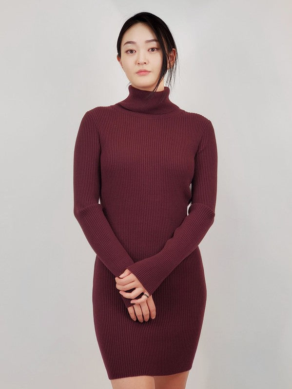 Ribbed Turtleneck Long Sleeve Slim Fit Mini Dress-Charmful Clothing Boutique