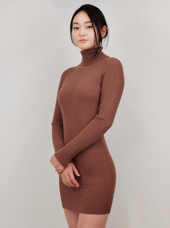 Ribbed Turtleneck Long Sleeve Slim Fit Mini Dress-Charmful Clothing Boutique