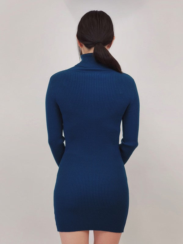 Ribbed Turtleneck Long Sleeve Slim Fit Mini Dress-Charmful Clothing Boutique