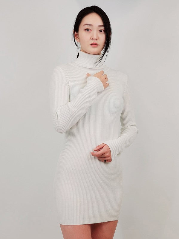 Ribbed Turtleneck Long Sleeve Slim Fit Mini Dress-Charmful Clothing Boutique