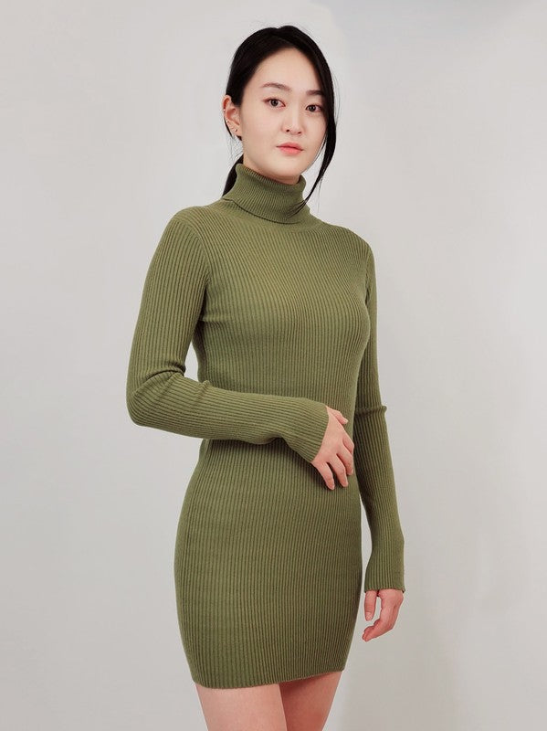 Ribbed Turtleneck Long Sleeve Slim Fit Mini Dress-Charmful Clothing Boutique