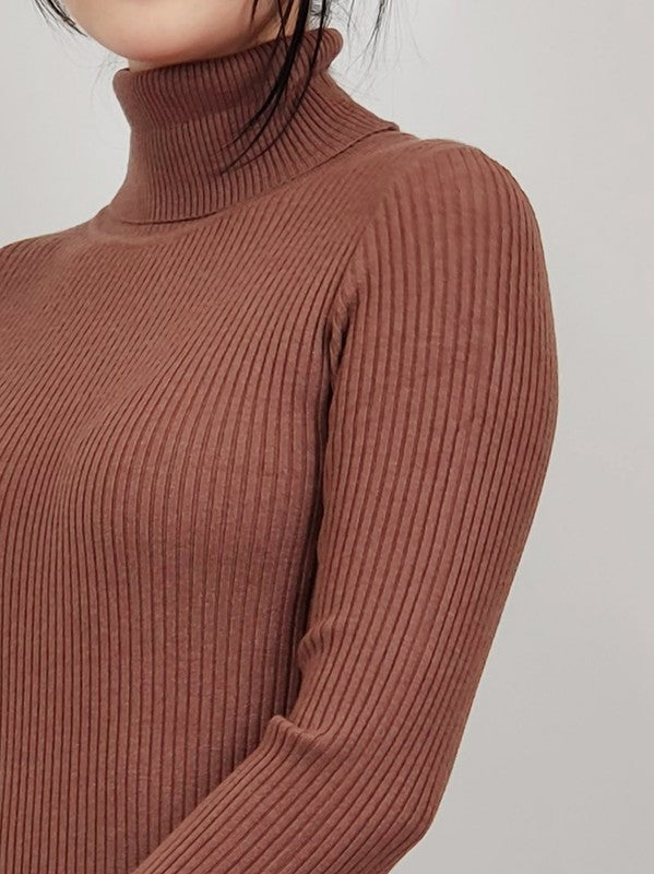 Ribbed Turtleneck Long Sleeve Slim Fit Mini Dress-Charmful Clothing Boutique