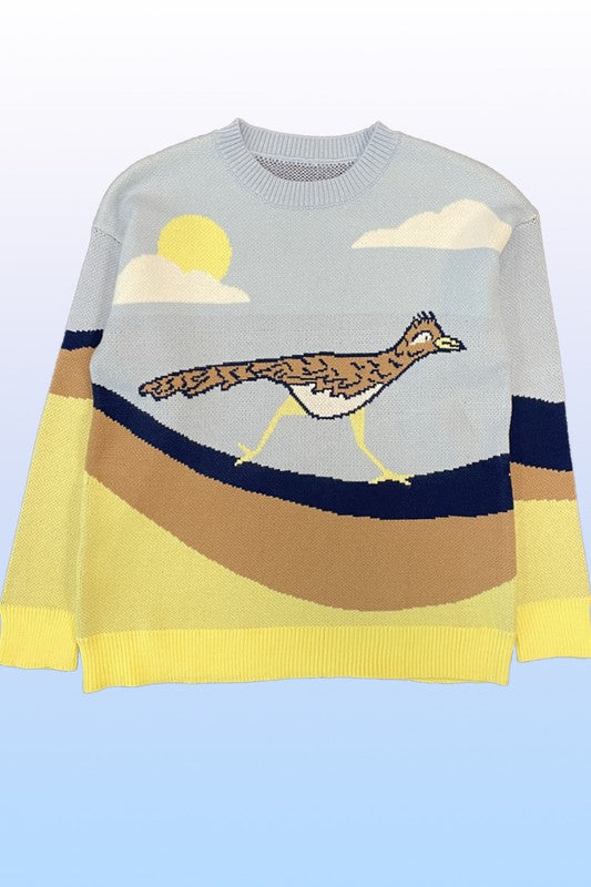 Roadrunner knit sweater-Charmful Clothing Boutique