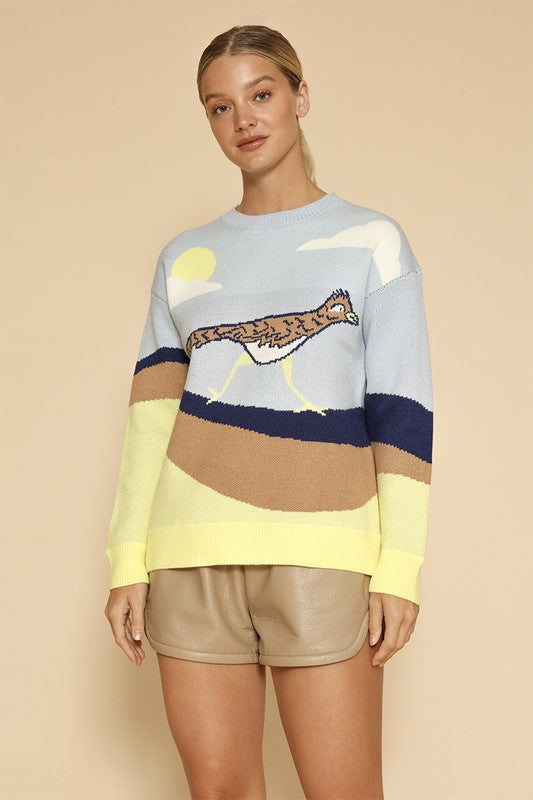 Roadrunner knit sweater-Charmful Clothing Boutique