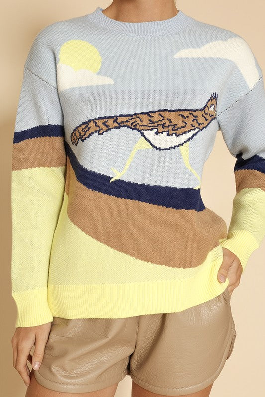 Roadrunner knit sweater-Charmful Clothing Boutique