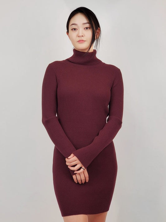Ribbed Turtleneck Long Sleeve Slim Fit Mini Dress-Charmful Clothing Boutique